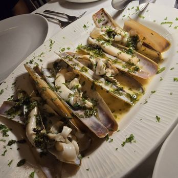 Basilico Ristorante - Razor clams - Italian Near Me - Coral Gables, Florida Basilico Ristorante - Razor clams - Italian Near Me - Coral Gables, Florida