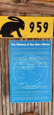 Blue Whale of Catoosa by null