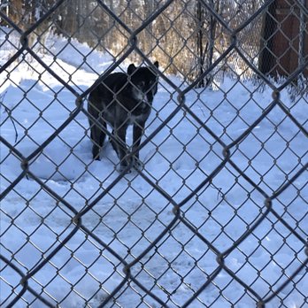 Wolf Hollow - Community Service/Non-Profit Near Me - Ipswich, Massachusetts
