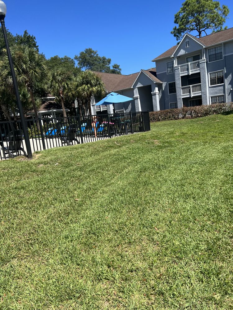 ADDISON QUALITY LAWN CARE Updated September 2024 Jacksonville