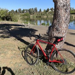 My sweet gravel wheels