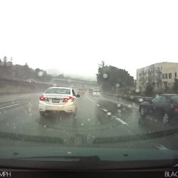 Cutting people off then immediately braking in front of off in bad weather is their specialty.