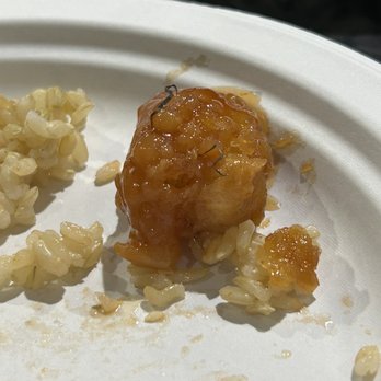 Grasshopper Restaurant - Metal sticking out of fried The Sweet & Sour Sensation - Chinese Near Me - Allston, Massachusetts