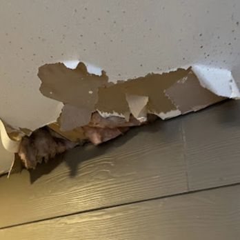 Holly Lubbock - Exposed insulation, existed my entire tenure here - Lubbock, Texas Holly Lubbock - Exposed insulation, existed my entire tenure here - Lubbock, Texas