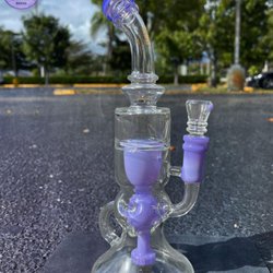 Glass Chamber Royal Palm