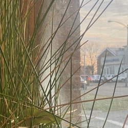 Todd E. Shatkin - Window hasn't been cleaned in a long time