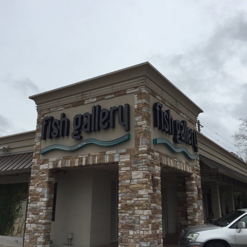 The Fish Gallery - Pet Stores Near Me - Houston, Texas