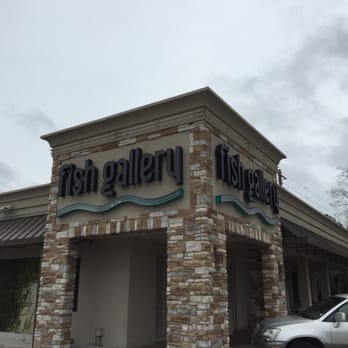 The Fish Gallery - Pet Stores Near Me - Houston, Texas The Fish Gallery - Pet Stores Near Me - Houston, Texas