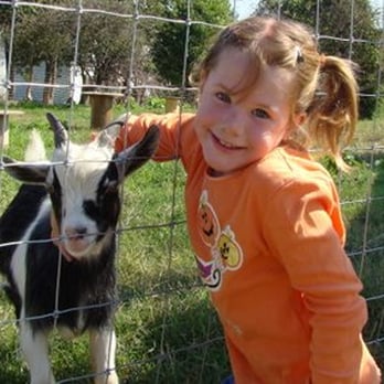 Summers Farm - The petting zoo - Attraction Farms Near Me - Middletown, Maryland