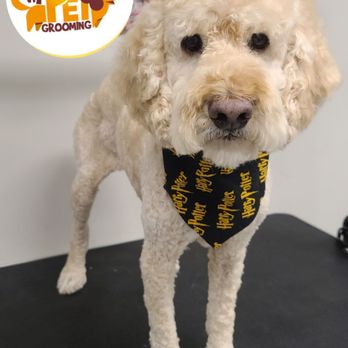 Wanaque Pet Grooming - Pet Groomers Near Me - Wanaque, New Jersey