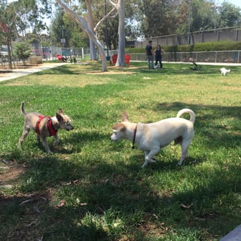 Costa Mesa Bark Park - Dog Parks Near Me - Costa Mesa, California Costa Mesa Bark Park - Dog Parks Near Me - Costa Mesa, California
