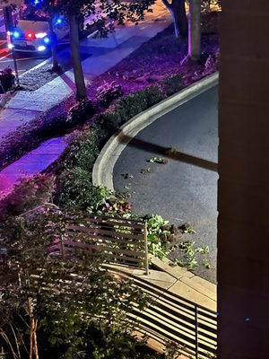 Promenade Apartments by null