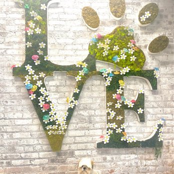 GoodVets West Loop - Veterinarians Near Me - Chicago, Illinois