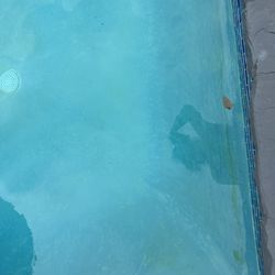 Bell Pool & Spa - They never brush walls or tile