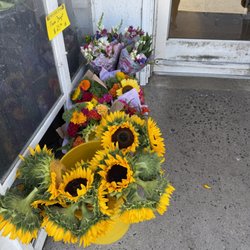 Lloyd's Market - Fresh flowers
