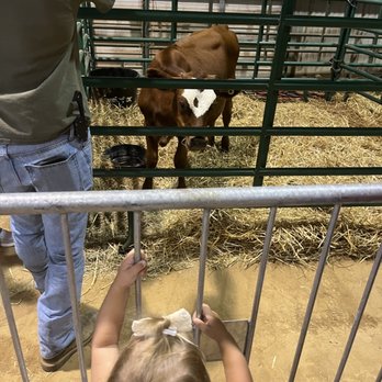 Wilson County Fair - Local Flavor Near Me - Lebanon, Tennessee