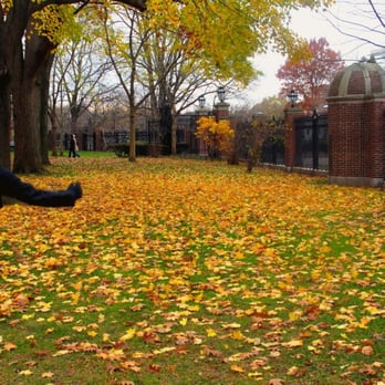Harvard Yard - prancing - Parks Near Me - Cambridge, Massachusetts