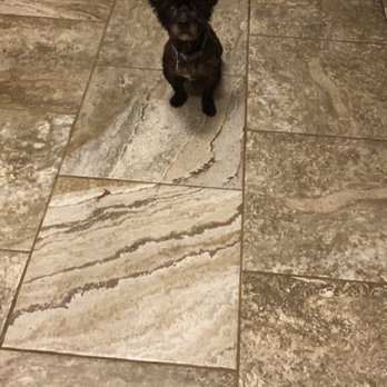 Furry Tails - Pet Boarding Near Me - Dallas, Texas Furry Tails - Pet Boarding Near Me - Dallas, Texas