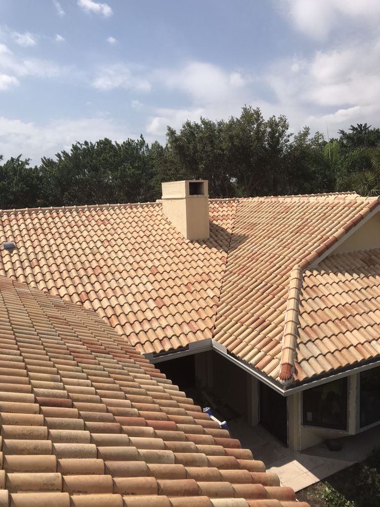 Slide of Genesis Painting