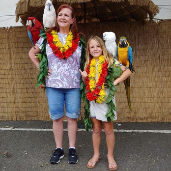 Parrotdise Hawaii - Pet Photography Near Me - Honolulu, Hawaii Parrotdise Hawaii - Pet Photography Near Me - Honolulu, Hawaii
