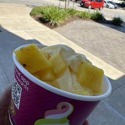 Yummy.  Priced by the pound. This cup was 9.00, worth it to me.  It was hot outside, I put it in the freezer before eating.