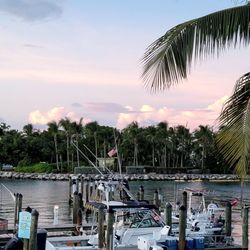 Barnacle Barney's Tiki Bar - Marina and private island behind the Tiki Bar.
