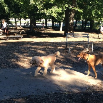 Centennial Dog Park - Pretty dogs :) - Dog Parks Near Me - Nashville, Tennessee Centennial Dog Park - Pretty dogs :) - Dog Parks Near Me - Nashville, Tennessee