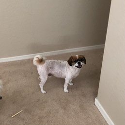 Grooming by Cheyenne! Grooming by Cheyenne!