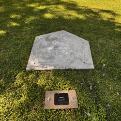Dimension Gallery Sculpture Park