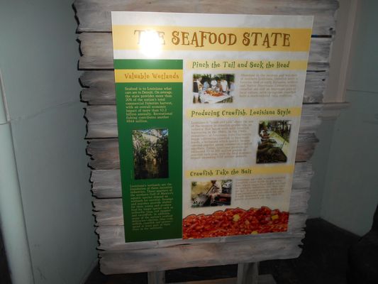 Audubon Insectarium by null