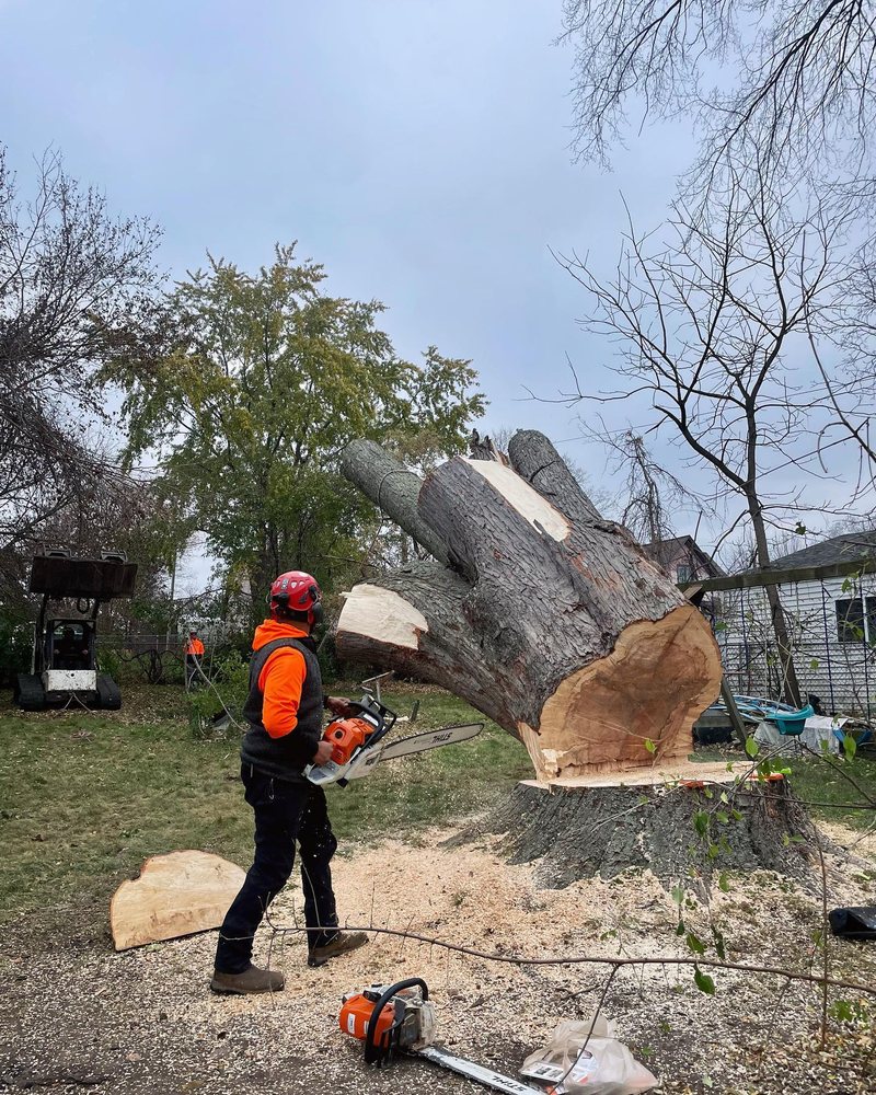 Midwest Tree & Landscape - tree service in Genesee Depot, WI