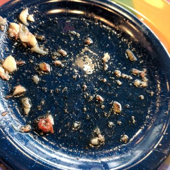 The Friendly Toast - Plate of grease under hash. - Breakfast & Brunch Near Me - Bedford, New Hampshire The Friendly Toast - Plate of grease under hash. - Breakfast & Brunch Near Me - Bedford, New Hampshire