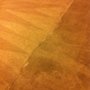 Photo of ProClean Carpet Care & Janitorial Services