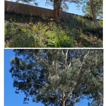 Ortega's Jr Tree Service - Tree Services Near Me - Riverside , California Ortega's Jr Tree Service - Tree Services Near Me - Riverside , California