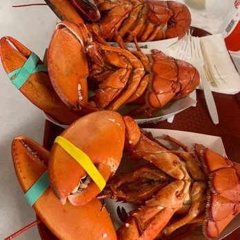 Bob Lobster - Steamed lobster - Seafood Near Me - Newbury, Massachusetts Bob Lobster - Steamed lobster - Seafood Near Me - Newbury, Massachusetts