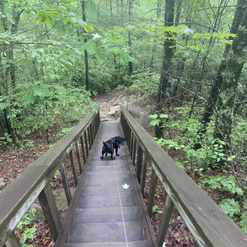 Red River Gorge - Hiking Near Me - Stanton, Kentucky