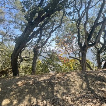Anthony Chabot Regional Park - Parks Near Me - Castro Valley, California