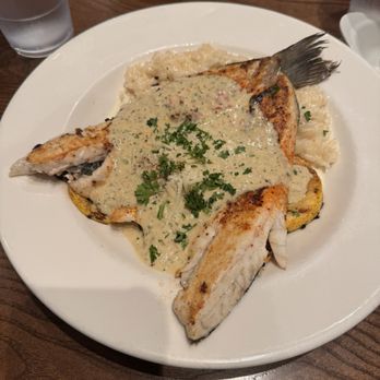 Fish City Grill - Grilled Brazini - Seafood Near Me - Waco, Texas Fish City Grill - Grilled Brazini - Seafood Near Me - Waco, Texas