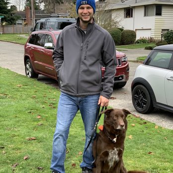 Leaps N Bounds K9 - Tom training Chutney - Pet Training Near Me Leaps N Bounds K9 - Tom training Chutney - Pet Training Near Me