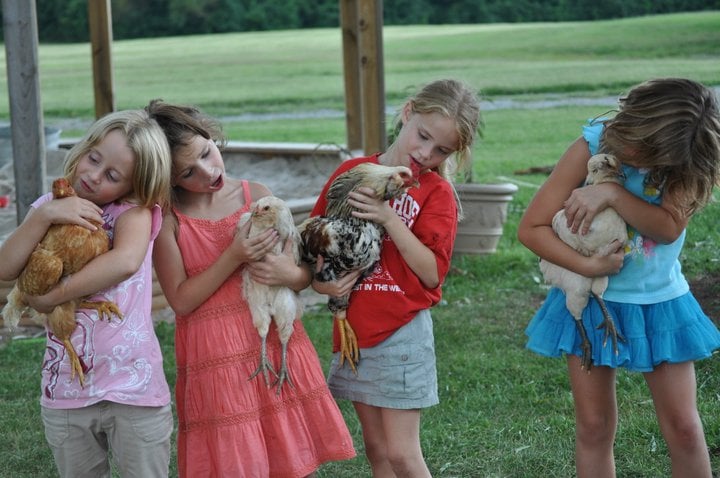 Adams International School - childcare center in Maidens, VA