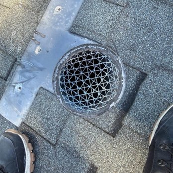 Amores Rodent Services - Pest Control Near Me