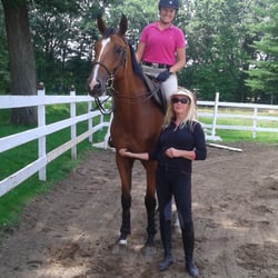 Equine Boulevard - Galaxy is one of our armazing imported warmbloods from Europe!  Heading to the horse shows