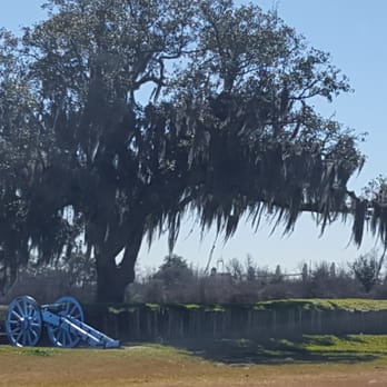 Chalmette Battlefield - Over 200 year old oak tree. - Parks Near Me - Chalmette, Louisiana