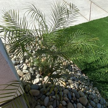 A1 Landscaping & Construction - Landscaping Near Me - Lathrop, California