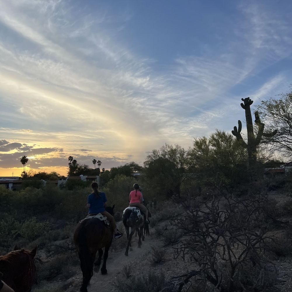 Tattered Saddle - Horseback Riding Near Me - Tucson, Arizona Tattered Saddle - Horseback Riding Near Me - Tucson, Arizona