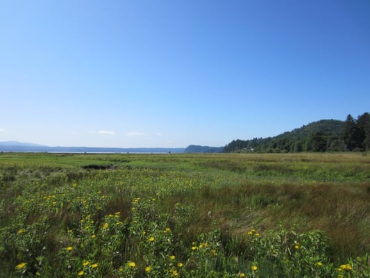 Dosewallips State Park by null