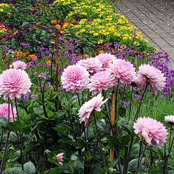Nooney Jacquelyn Landscape - a garden of flowers - Landscaping Near Me - Eliot, Maine Nooney Jacquelyn Landscape - a garden of flowers - Landscaping Near Me - Eliot, Maine