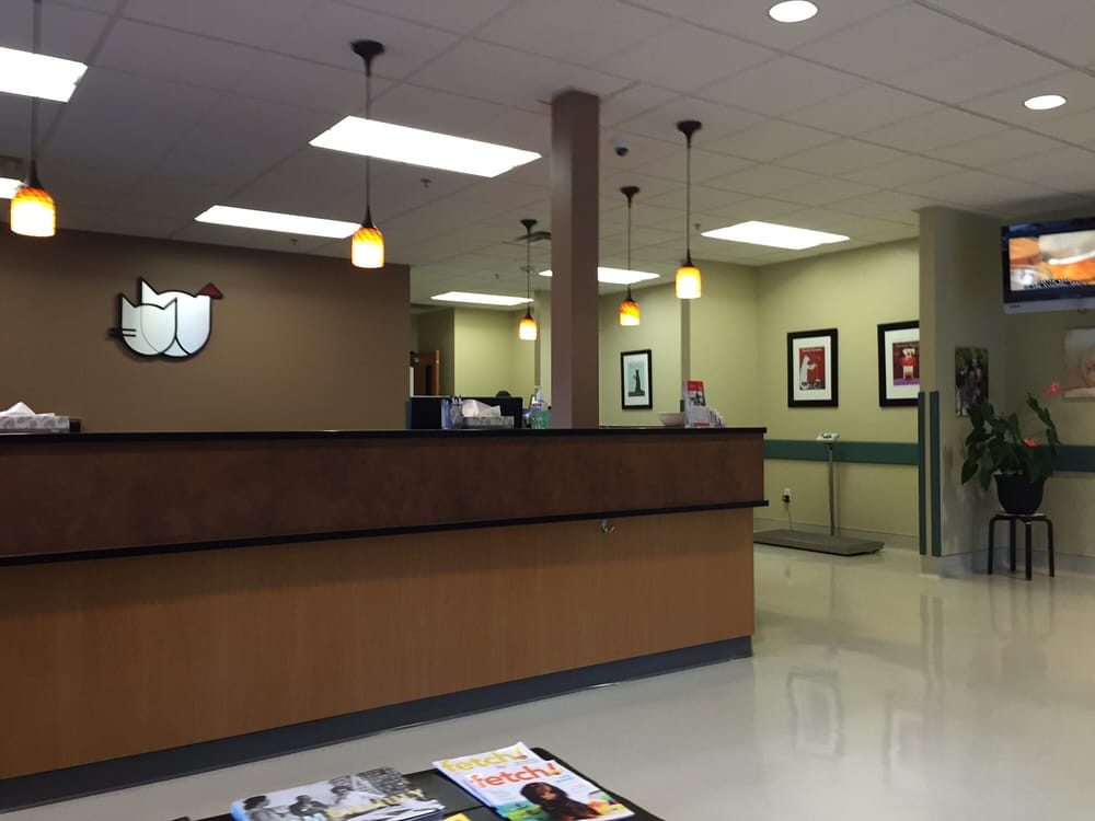 kirkland veterinary specialists