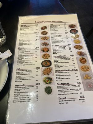 Menu photo 4 Tropical Chinese Restaurant Miami, FL Menu photo 4 Tropical Chinese Restaurant Miami, FL