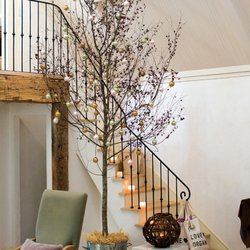 Garden State Foliage - We sell Birch Trees up to 12' height
